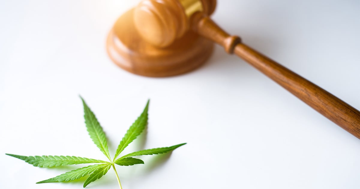 cannaspyglass's tweet photo. The Department of Health and Human Services has recommended reclassifying cannabis from its current status as a Schedule I substance under the CSA. Read all about the impact in our #cannabisblog here - https://t.co/F2qfCrKpHP
#cannabis #rescheduling #descheduling #cannabisnews https://t.co/qQ0MHttN9i