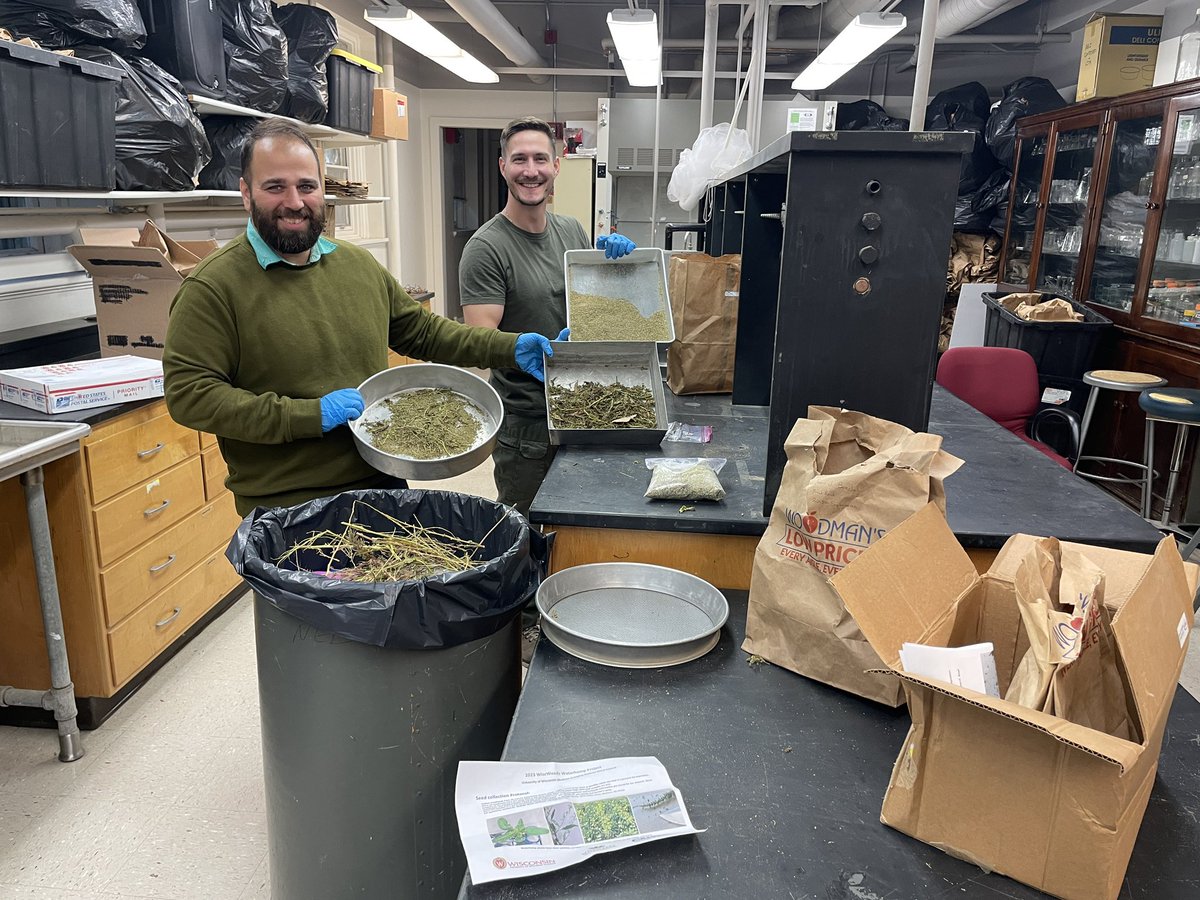 WiscWeeds's tweet photo. We truly appreciate our WI clientele for sending in #waterhemp seed samples for #WiscWeeds herbicide resistance screenings! https://t.co/evOB1VuCDB
