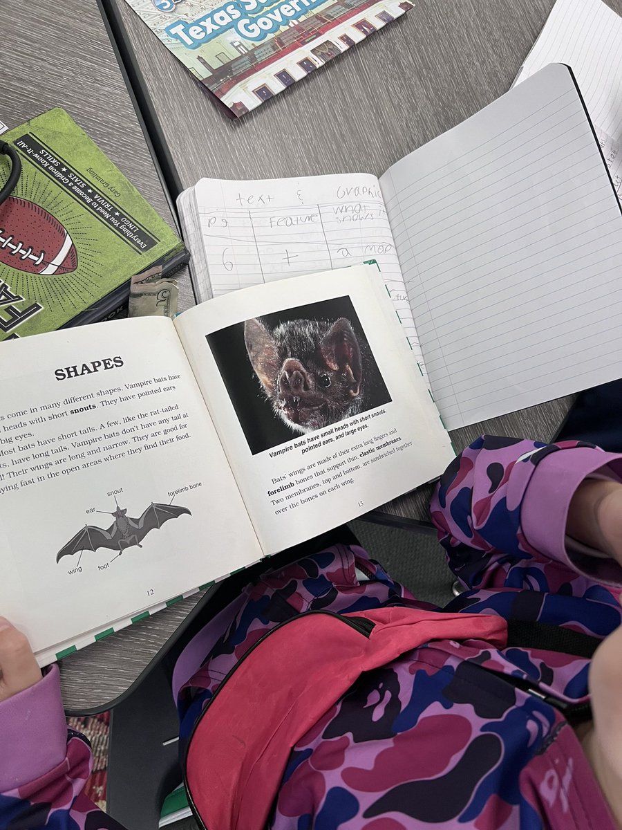 3rdgradethrives's tweet photo. We’ve launched our bat design challenge. Today students are reviewing text and graphic features using nonfiction texts about bats. 🦇📚@canSTEM https://t.co/fNRmbUsSMg