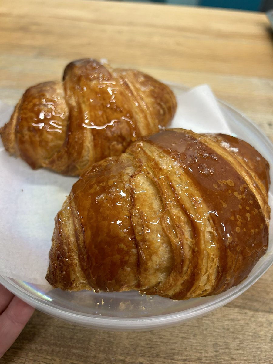 Tracy Obolsky tweet media