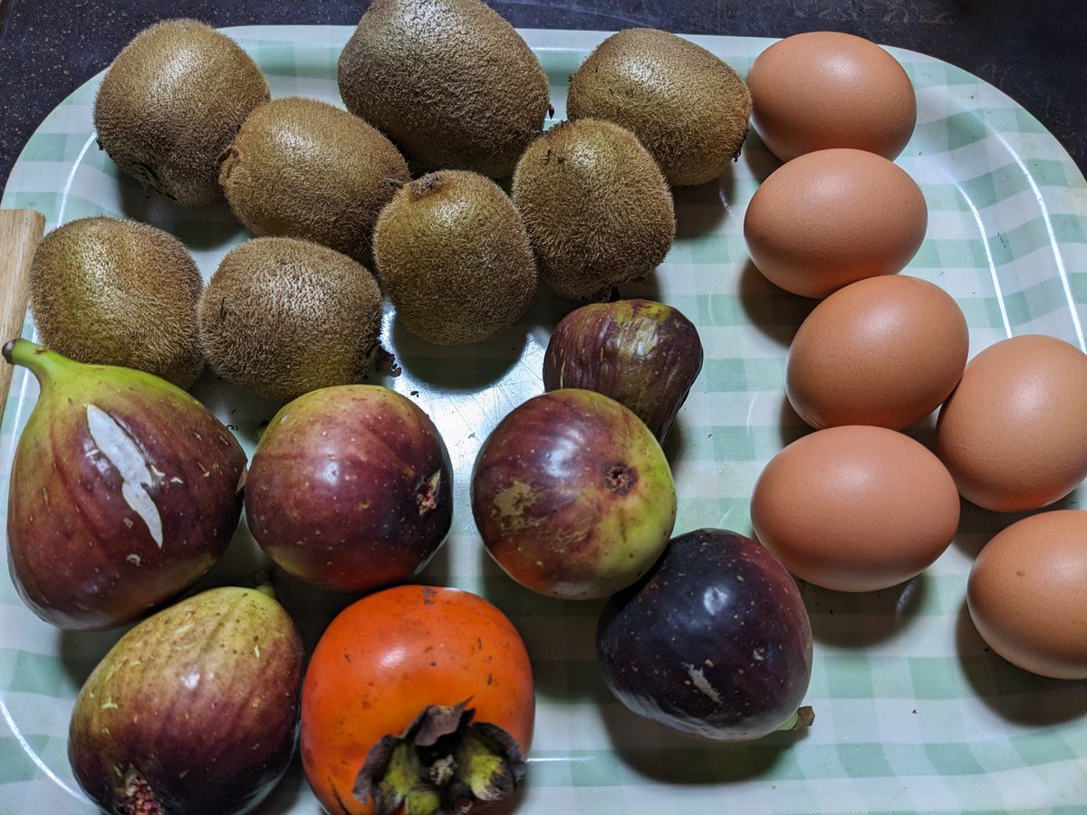 nabeparis's tweet photo. This morning's harvest https://t.co/y2EEmAp6QT