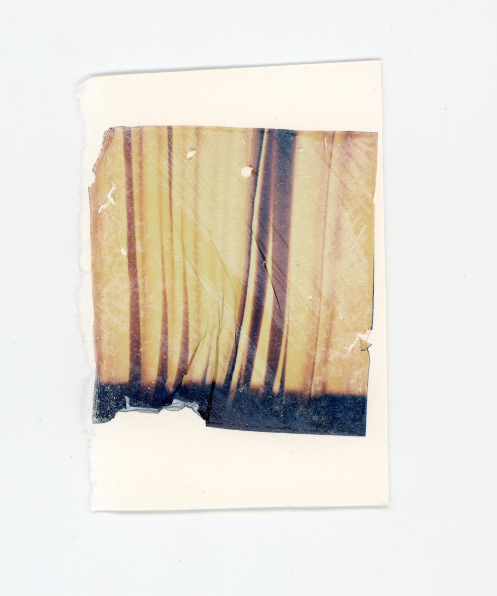 KOTOROROCKS's tweet image. more lifts!

#polaroidi2 #altprocess