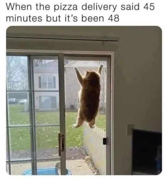 AccountXofCats's tweet photo. https://t.co/jXJcR0FTr3