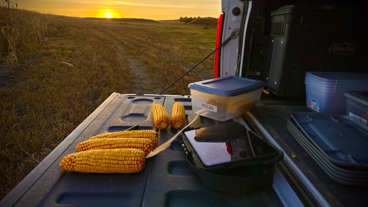 wardynmi's tweet photo. End of a good day looking at corn north of Alliance, NE. ⁦@PioneerSeeds⁩ ⁦@CaseyJagers⁩ ⁦@csauder34⁩ https://t.co/MPltkbF8sc