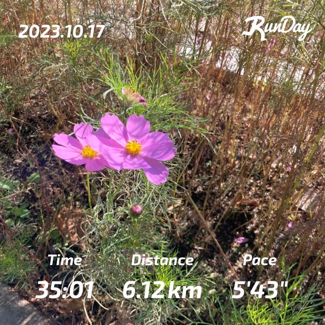 다방커피 (@ournowadays) on Twitter photo 