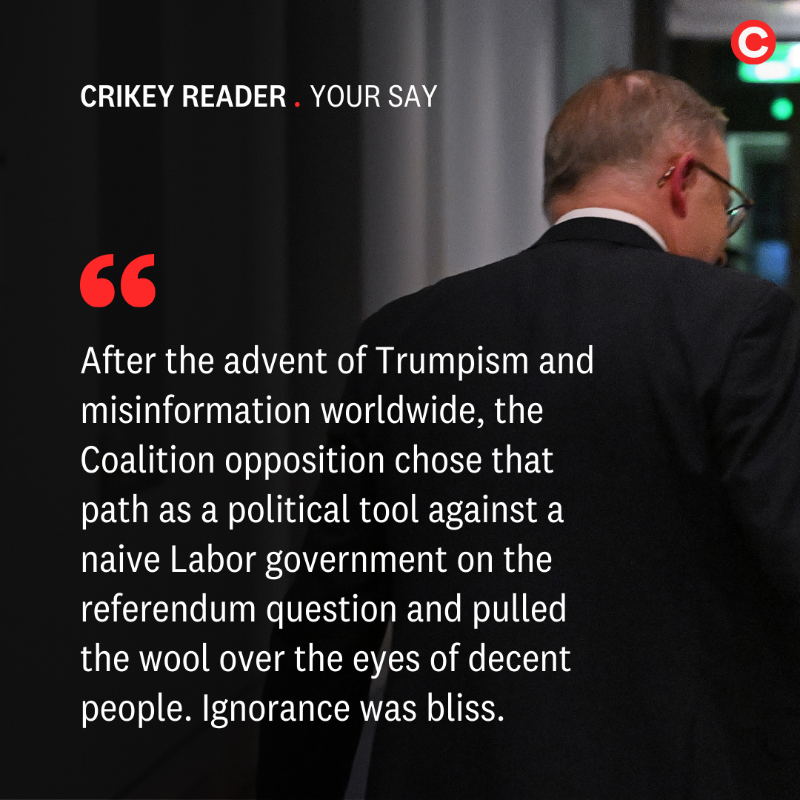 crikey_news's tweet photo. If the results of the Voice to Parliament referendum reveal anything, it’s that perhaps ignorance really is bliss, Crikey readers vex. “Why did we commit such a shameless act?”