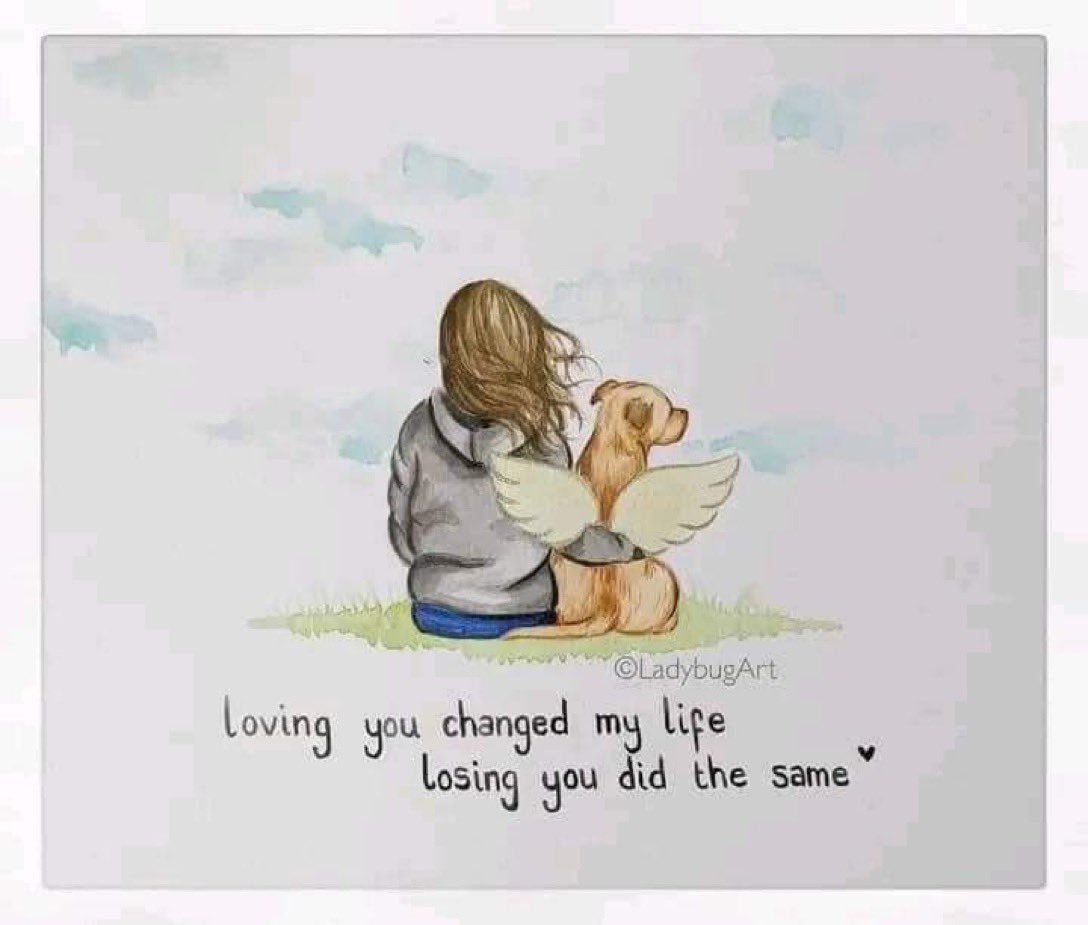 <a href="/Dalbodog/">The Dalbo Dog</a>