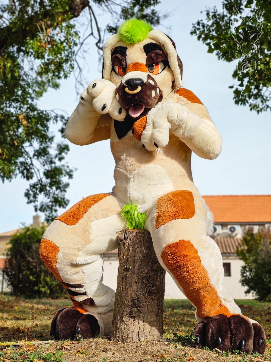 I can be a good dog 🐶

📸 <a href="/Pitou_Rikou/">Pitou Rikou</a>