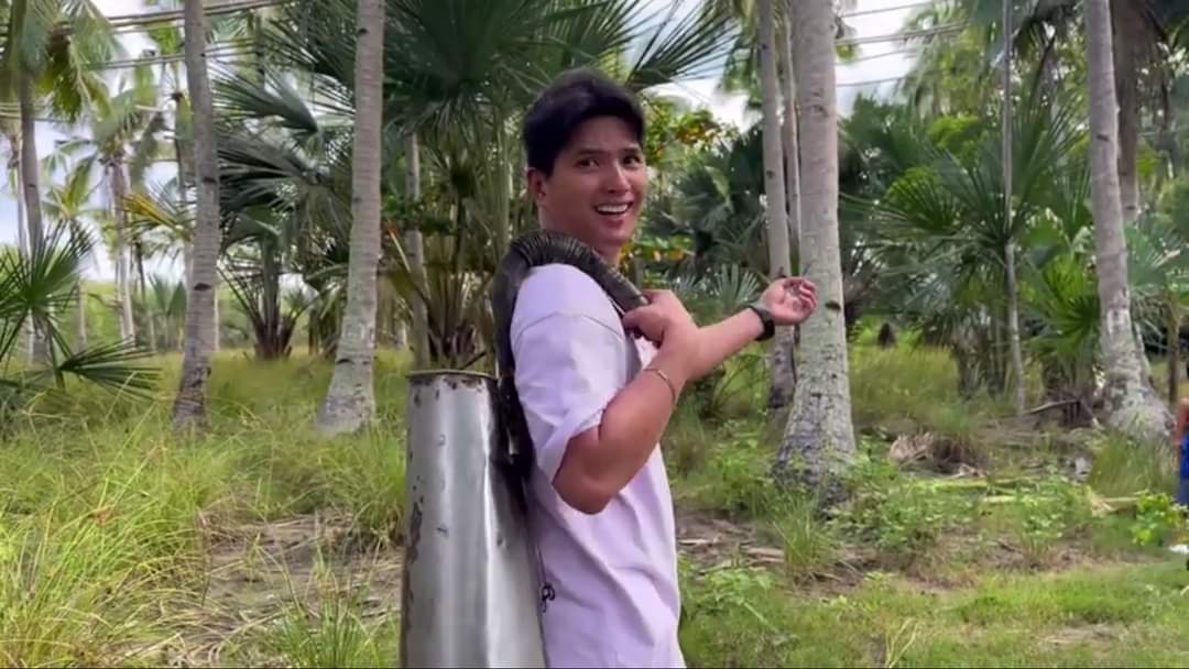 One cannot grow without pain. One cannot improve without it. Suffering drives us to achieve great things.

#MYGZMOLINO