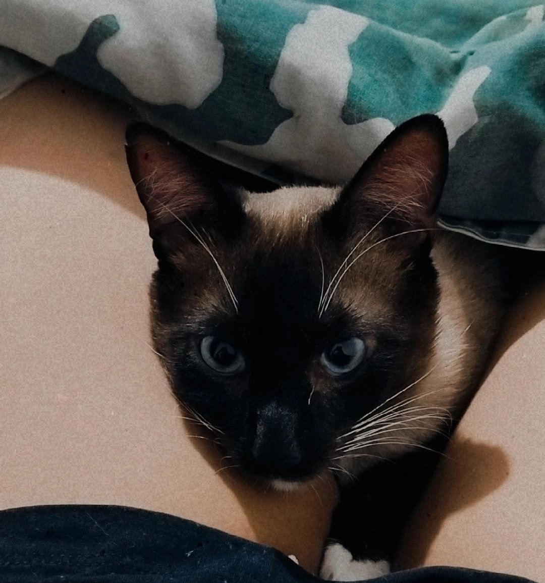 Toda vez olho essa foto eu fico aaaaaaaaaaa como eu amo 🥺