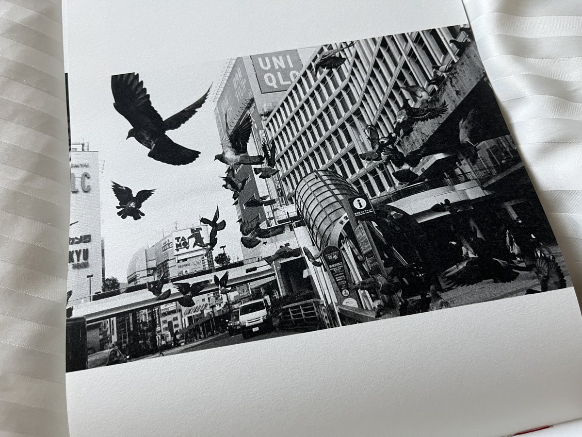 tomo_kosuga's tweet photo. 相澤有紀『東京モノクローム』

故郷の東京を５年ほどモノクロで観察した写真群で構成。目の前に現れる景色からなるべく私情を排除しながら魚拓を取る心持ちで切り取ったとのこと。
SNSで展開しても人気が出そうだが、敢えてそれをしないところが良い。限定200部。
https://t.co/54w5La8Ko5 https://t.co/sLiwvAom4W