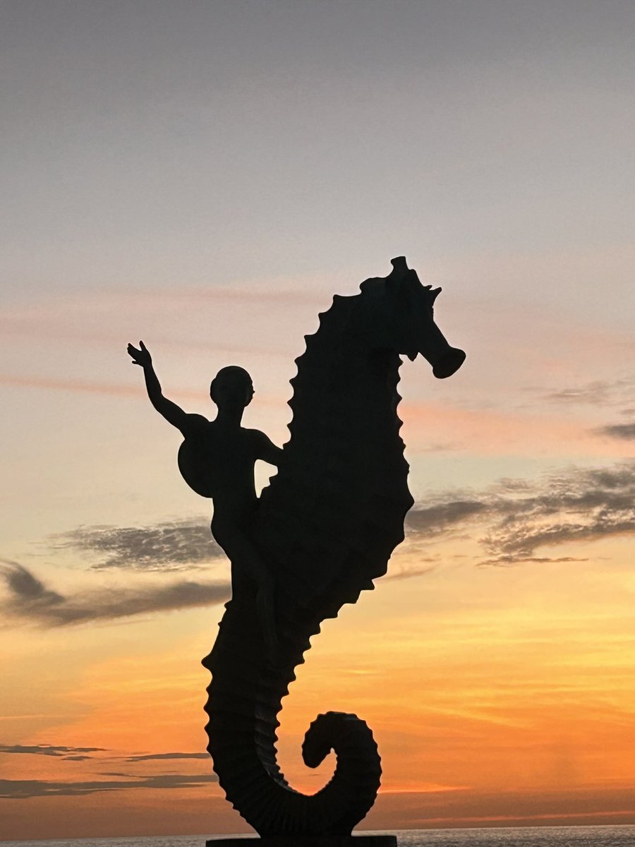 TurismoPV's tweet photo. Buenas noches #PuertoVallarta. https://t.co/dmREVIgsoz