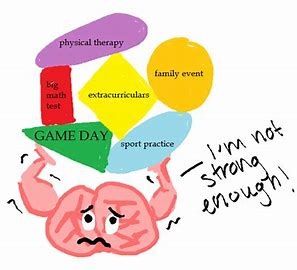 Daniela Gonzalez tweet media