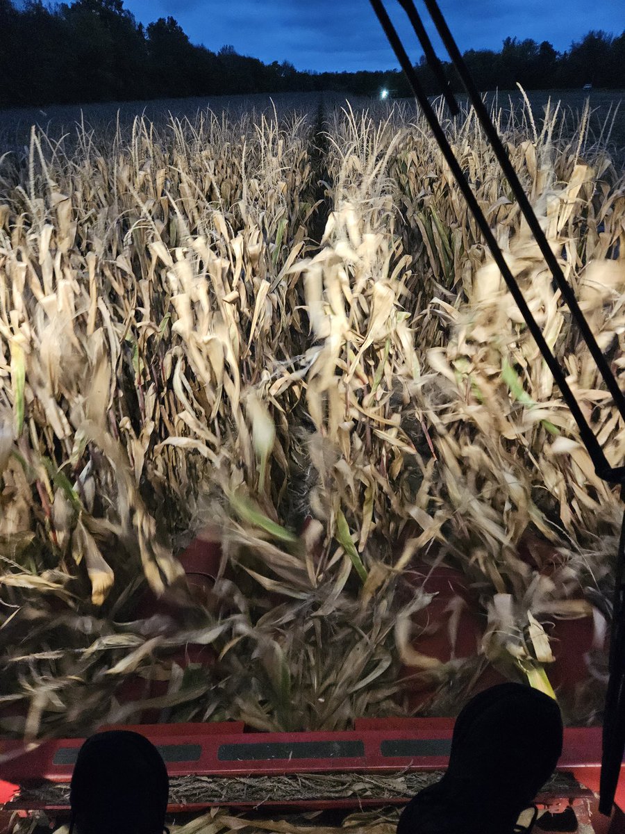 After a long stessful day in the shop...I'm finally in my happy place! #harvest23 #blessed