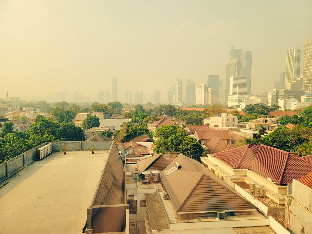 フィリピンからインドネシアに移動してきました。大気汚染がひどいそうです。明日からはインドです。皆様おはようございます！