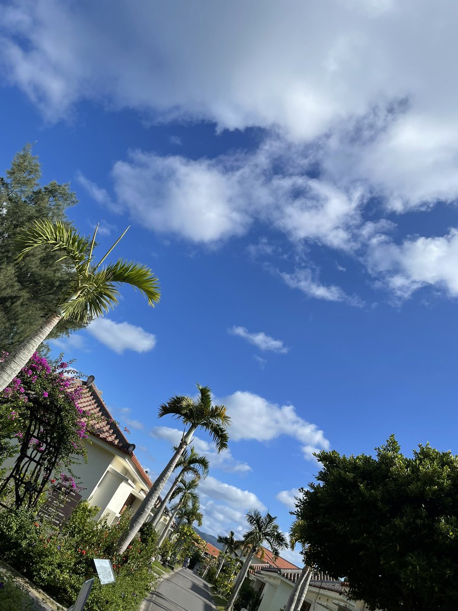 msymsk0915's tweet photo. #🏝️ https://t.co/YEoxnkRTkn