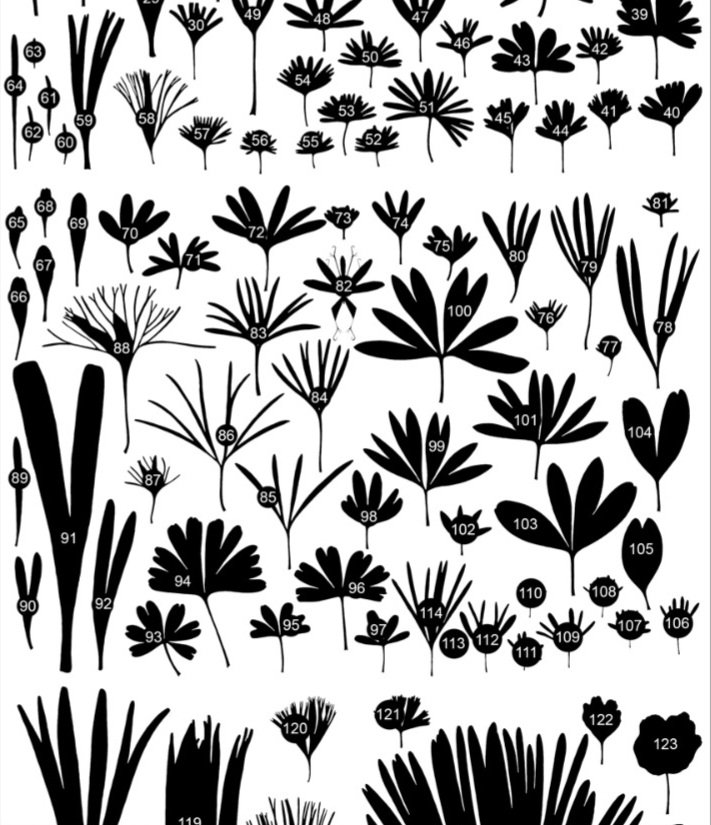 Julianne Kiely - Commissions Open tweet media