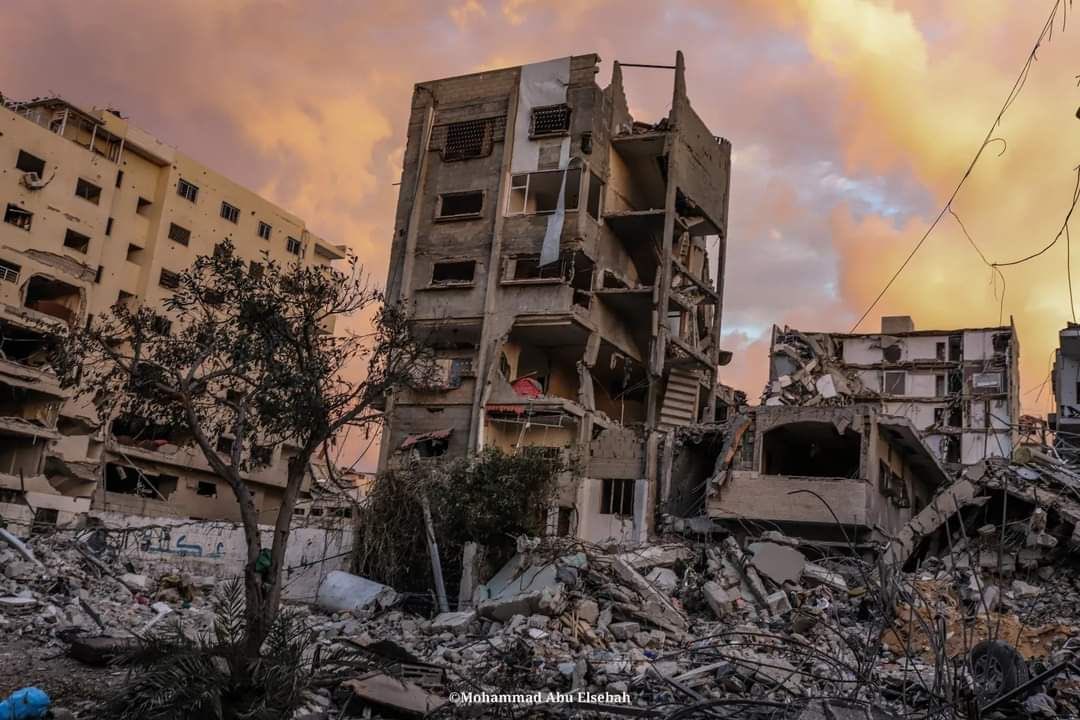 Jackson Hinkle 🇺🇸 tweet media