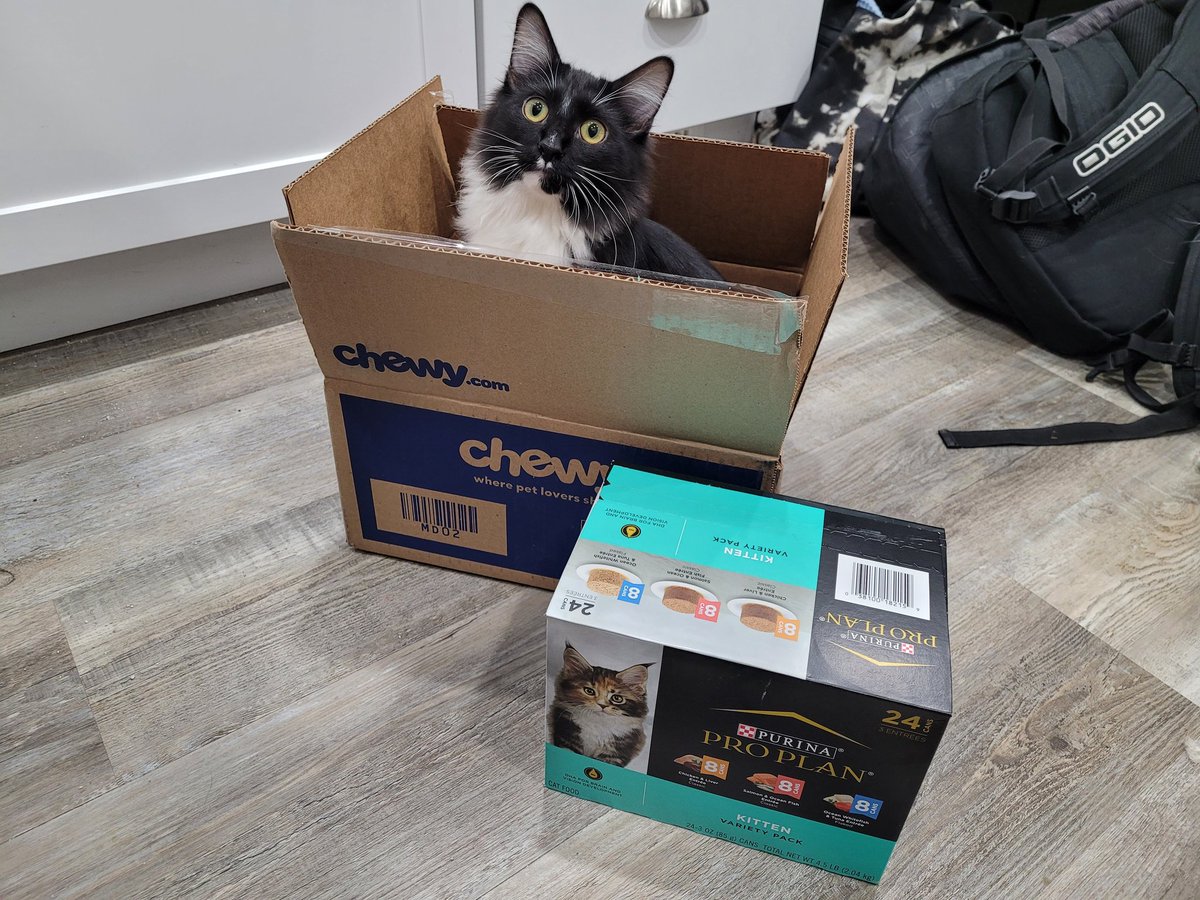 Thanks @chewy for the #ChewyDelivery! Estarlin loves his kitten food...and your box!