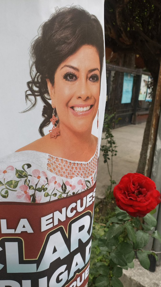 ClaraCordCDMX's tweet photo. Buenas noches, coincidir en la colonia Iztaccihuatl de la Alcaldía Benito Juárez #ArribaCorazones 
#EsTiempoDeMujeres https://t.co/MnXFpYaP2F