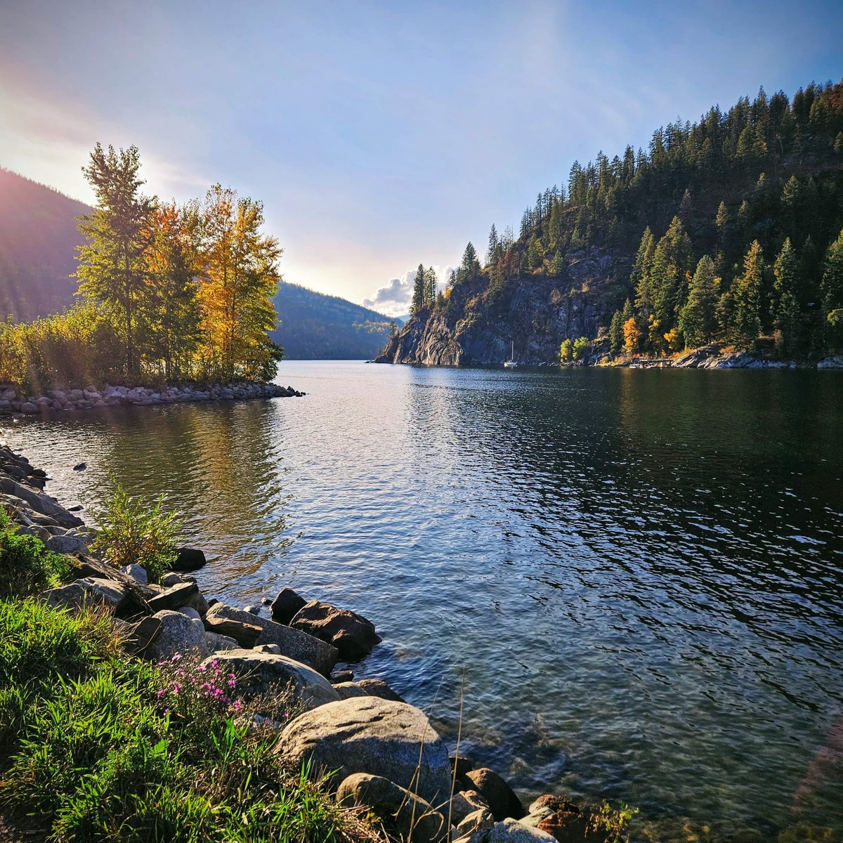 Janeen Davis tweet media