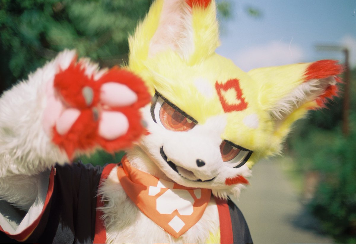 FurrySparkle's tweet photo. 试试胶片🎞︎！

📷：小白姥姥
#FursuitFriday https://t.co/c9IA5Z9D90