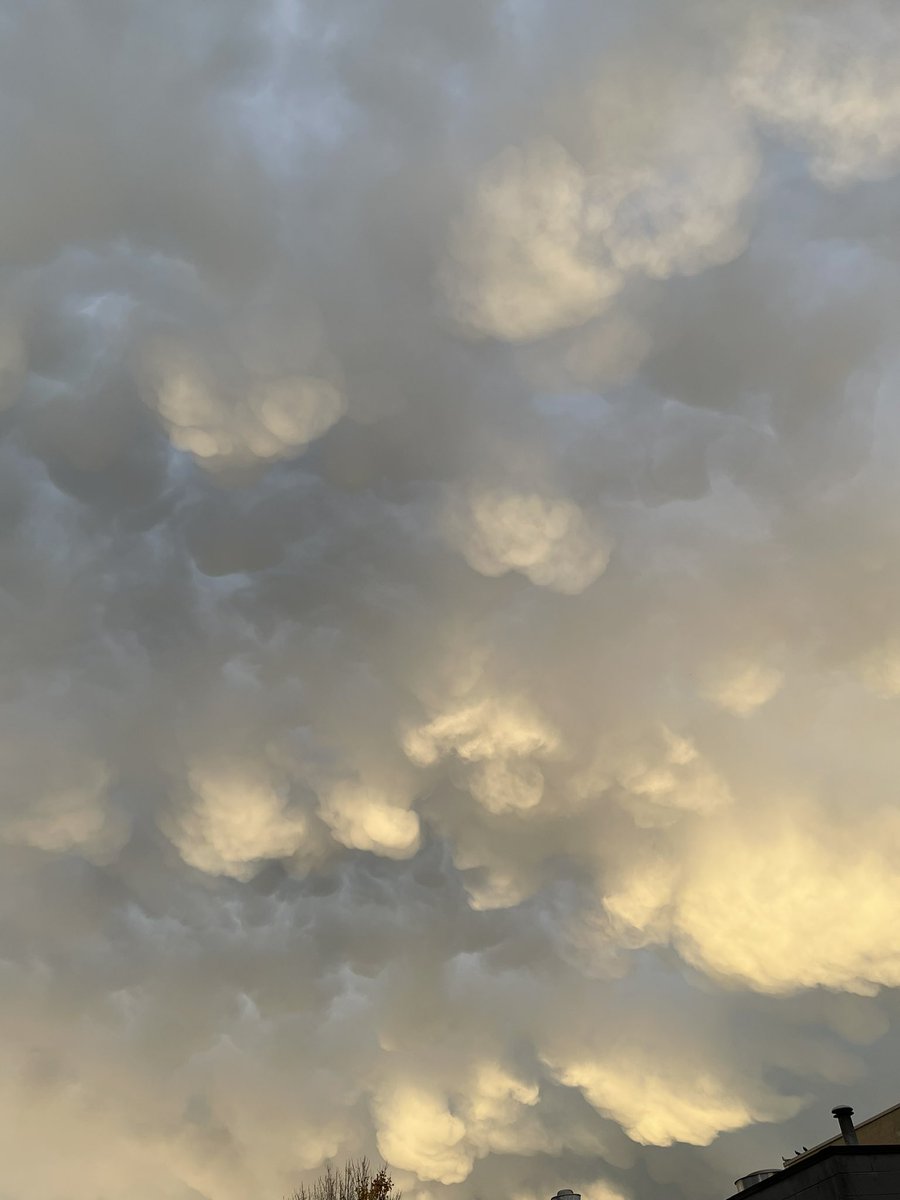 Sharinfali's tweet photo. What kind of clouds are these? @KGordonGlobalBC #bcstorm #clouds #cloudidentification #identification https://t.co/oSUTTK7fcu