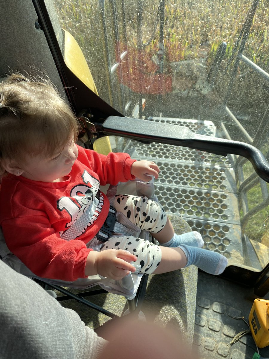 Seeing the excitement in the eyes of the next generation while combining makes the long days worth it. Sat for 2 hours in the buddy seat enthralled with everything happening.