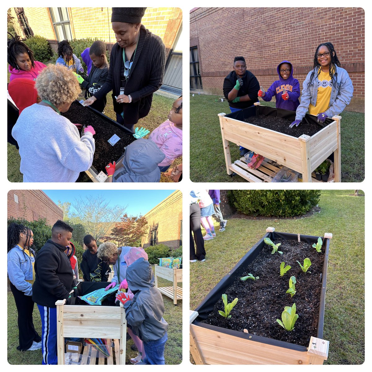 Cotton Indian Elem. (@cie_hcs) on Twitter photo Awesome news, CIE has started their garden. Thanks to the HealthMPowers grant, students are able to plant, grow and harvest fruits, herbs and vegetables. ๐๐พ๐ #OneSchoolOneTeamOneGoal <a href="/CristyMorrill/">Cristy Morrill</a> <a href="/Can_HMediaSpec/">CandiceJoy</a> <a href="/MahoganeyJack/">Mahoganey Jackson</a> <a href="/GwynethGwyfran/">Gwyn Francis</a> Awesome news, CIE has started their garden. Thanks to the HealthMPowers grant, students are able to plant, grow and harvest fruits, herbs and vegetables. ๐๐พ๐ #OneSchoolOneTeamOneGoal <a href="/CristyMorrill/">Cristy Morrill</a> <a href="/Can_HMediaSpec/">CandiceJoy</a> <a href="/MahoganeyJack/">Mahoganey Jackson</a> <a href="/GwynethGwyfran/">Gwyn Francis</a>