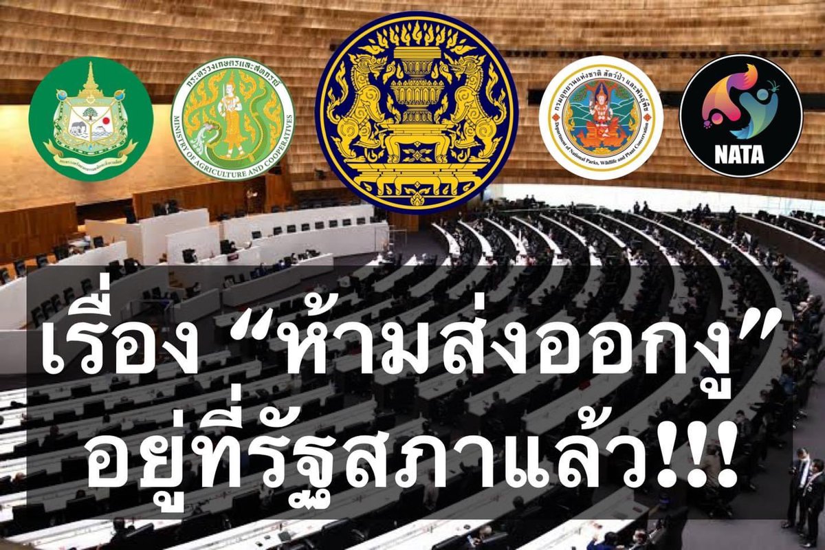 futoagothai's tweet photo. 法令を変えることは簡単ではありません。しかし、理不尽で泣く人が多いのは変えるための活動をするのみです。

タイ🇹🇭爬虫類協会のNATAの活動が認められ、ヘビの輸出禁止の現法令に対する法案が着々と進んできております

#爬虫類好きさんと繋がりたい #ヘビ輸出解禁目指す #NATA https://t.co/bx25npAtVl