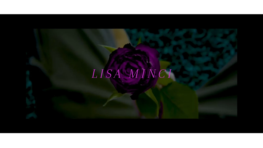 Lisa Minci. tweet media