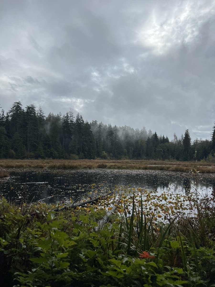 _BarbaraMartin's tweet image. To understand our land we have to go deeply inside the forest and listen with our mind and our heart history, stories, legends and Indigenous ways of living. Gratitude to Talaysay cultural ambassador guides.  
We are all interconnected
#CAISNLC 
@CAIS_Schools 
@the_write_anand