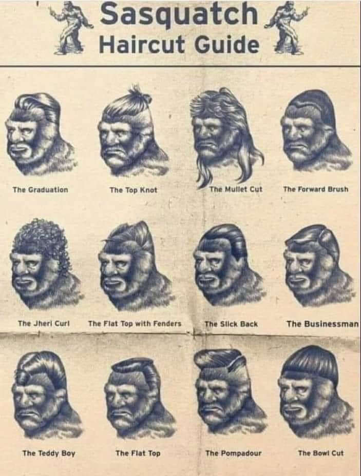 mystic_fix's tweet photo. Sorry I've taken so long to post the Bigfoot episode. Had some book deadlines and other priorities. https://t.co/I48VQdpWJO