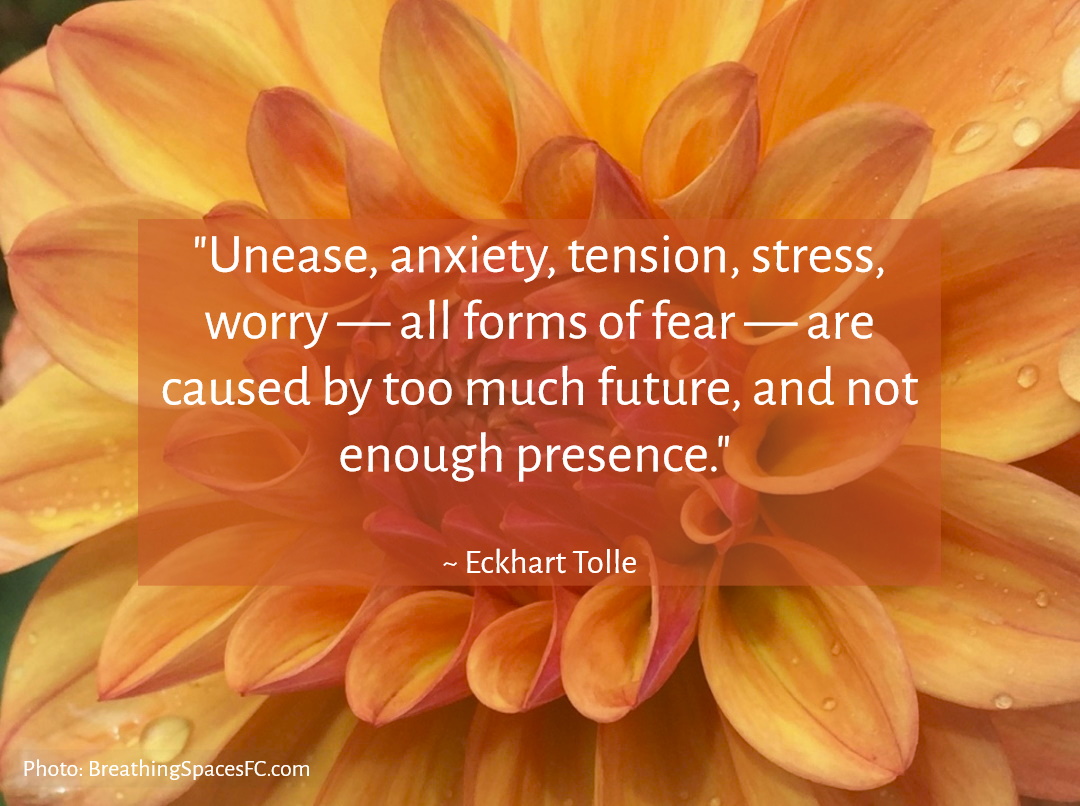 “Unease, anxiety, tension, stress, worry — all forms of fear — are caused by too much future, and not enough presence. Guilt, regret, resentment, grievances, sadness, bitterness, and all forms of nonforgiveness are caused by too much past, and not enough presence. " - E. Tolle