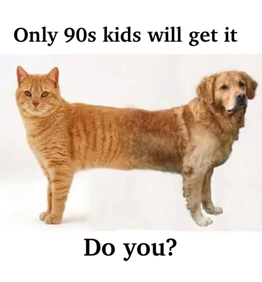 XElementsPlus's tweet photo. @HumansNoContext https://t.co/0B396VsGX0