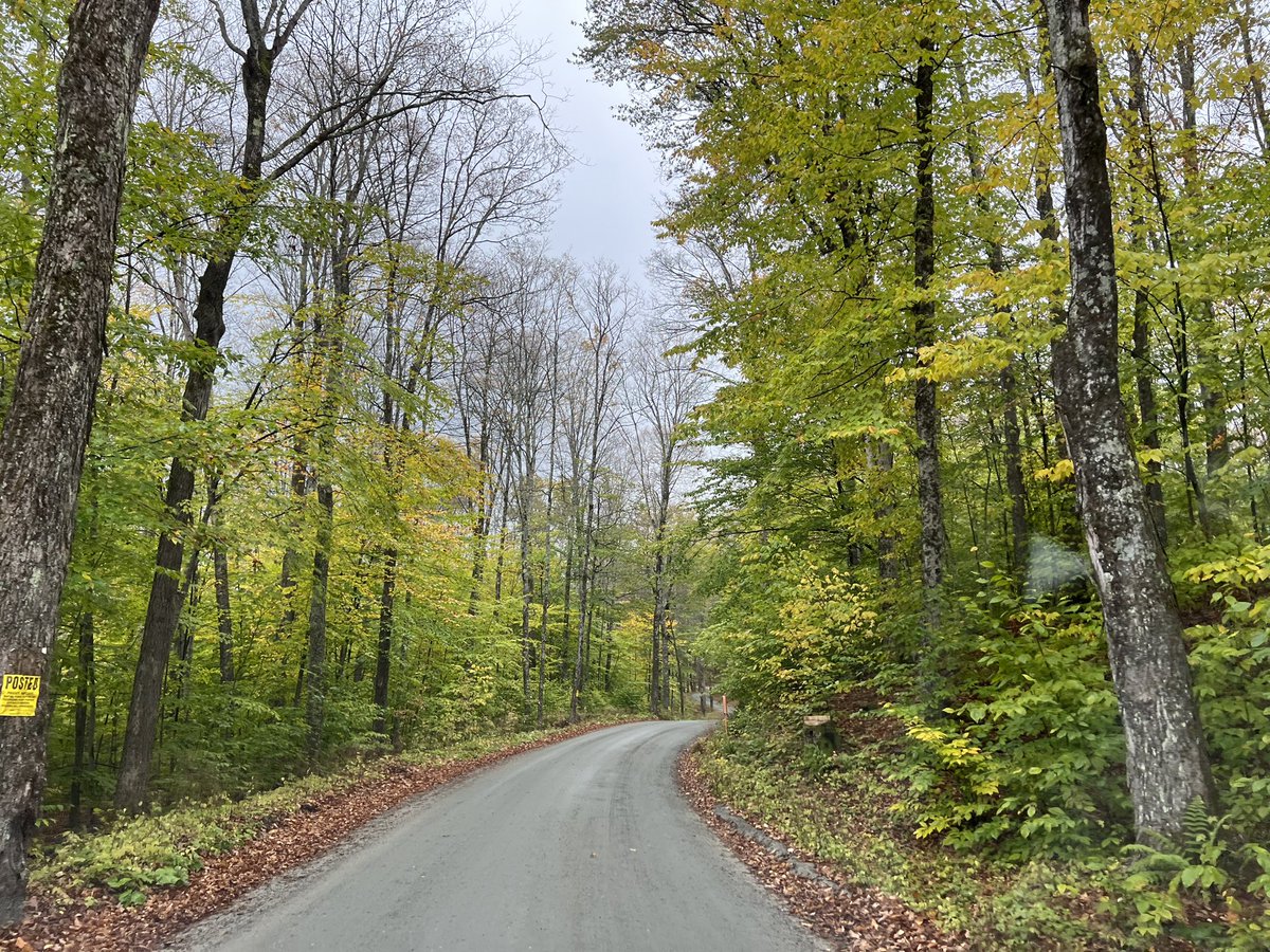 Luckily I have better taste in synths and roads home than curtains.