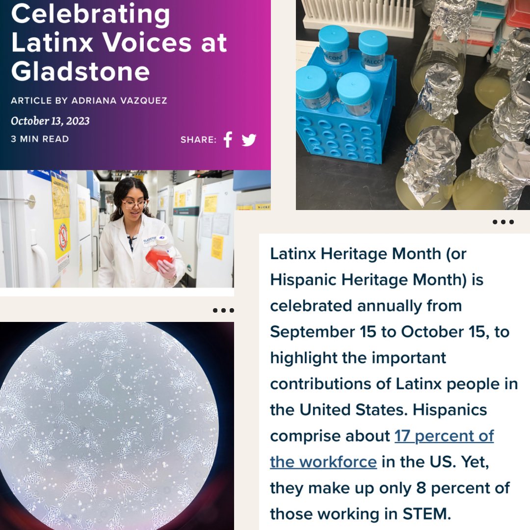 SotoYanilka's tweet photo. Hispanics represent 18% of USA yet we only make up 8% of those in STEM. To celebrate the Latinx History Month, @GladstoneInst shed light into some of the Latinx voices working in the institute to advance science! 👩🏽‍🔬🧫 🇵🇷Learn more on their link: https://t.co/GJT7W9x1Cu https://t.co/Ji8YWM2SDH