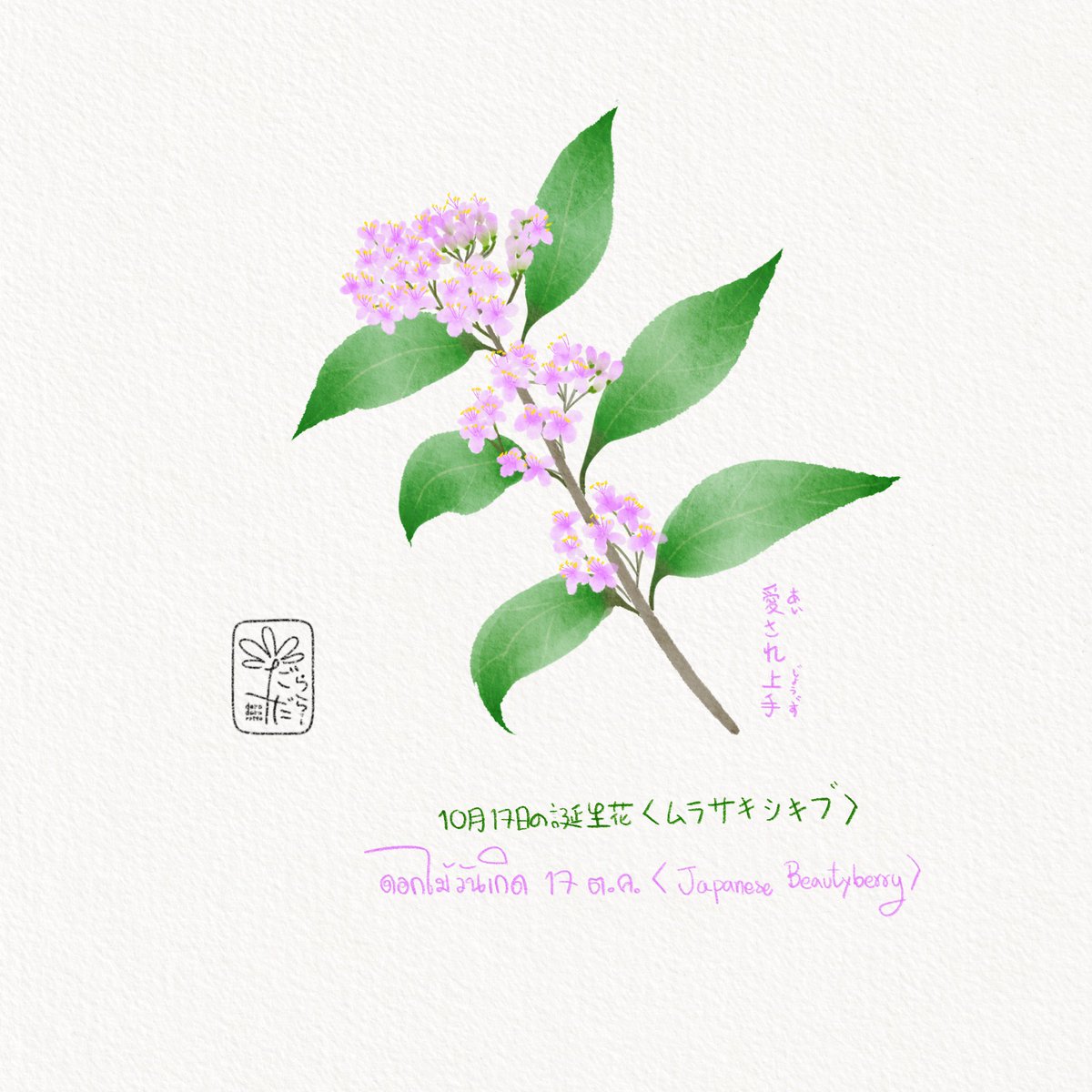 ดอกไม้วันเกิด 17 ตุลาคม
“ดอก Japanese beautyberry”
ภาษาญี่ปุ่นเรียกว่า ムラサキシキブ
(มุระสะคิชิคิบุ)
ภาษาดอกไม้คือ มีเสน่ห์ที่ทำให้คนตกหลุมรัก

10月17日の誕生花　“ムラサキシキブ”
花言葉　“愛(あい)され上手(じょうず)”

October 17th of birthday flower 
“Japanese beautyberry”…