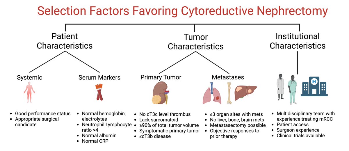 Daniel Shapiro (@d_shapiro1) on Twitter photo Check out our collaborative review on cytoreductive nephrectomy in the checkpoint inhibitor era doi.org/10.52733/KCJ21…
<a href="/ejasonabel/">E Jason Abel</a> <a href="/SpiessPhilippe/">Philippe spiess</a> <a href="/virajmaster/">Viraj Master</a> <a href="/SurenaMatinMD/">Surena F Matin MD</a> <a href="/jadchahoud/">jc</a> #BrandonManley #JoseKaram Check out our collaborative review on cytoreductive nephrectomy in the checkpoint inhibitor era doi.org/10.52733/KCJ21…
<a href="/ejasonabel/">E Jason Abel</a> <a href="/SpiessPhilippe/">Philippe spiess</a> <a href="/virajmaster/">Viraj Master</a> <a href="/SurenaMatinMD/">Surena F Matin MD</a> <a href="/jadchahoud/">jc</a> #BrandonManley #JoseKaram