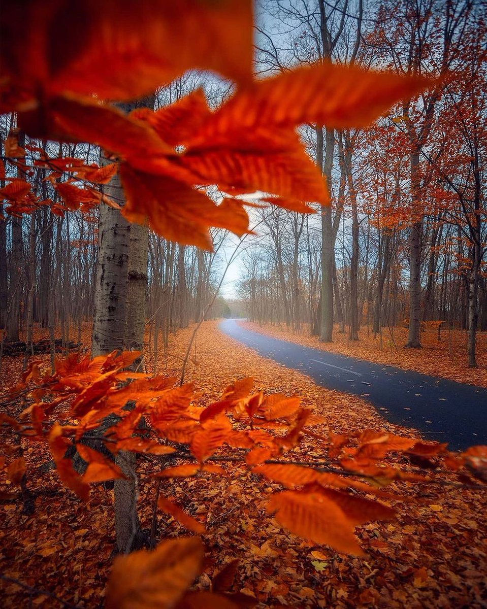 coco_p2a's tweet photo. Have a nice day ! https://t.co/TirVci4aeL