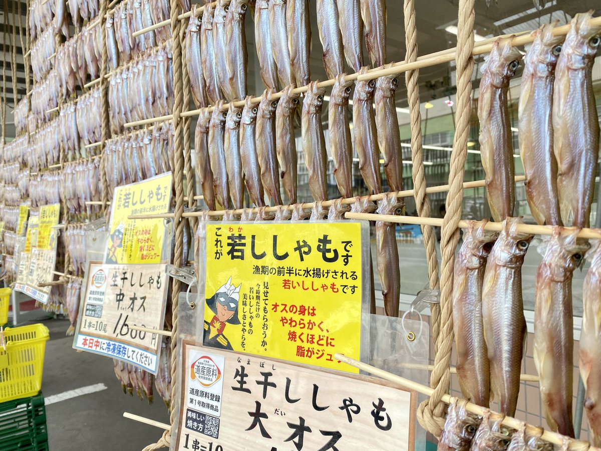 【産地から厳選！すだれ干し】

むかわ町の秋の風物詩「ししゃのすだれ干し」あります！

今日の産地は「広尾」

創業百年、優れた職人が美味しい「生干ししゃも」に仕上げています。

今日もたくさんのお客様にお越し頂きました。

従業員一同、心より感謝申し上げます。

#ししゃも #鵡川 #秋の味覚