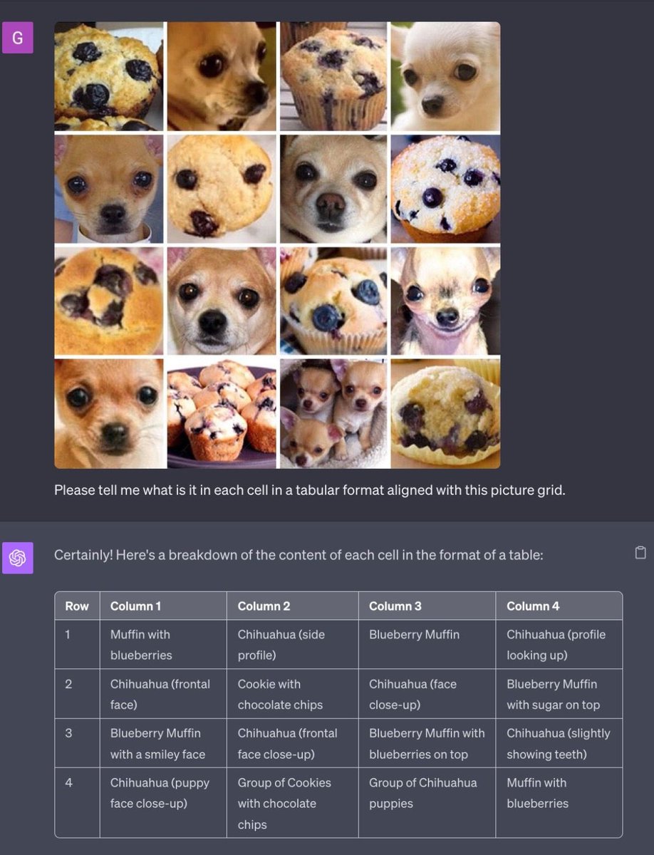 Finally we did it ! AI can identify Chihuahua