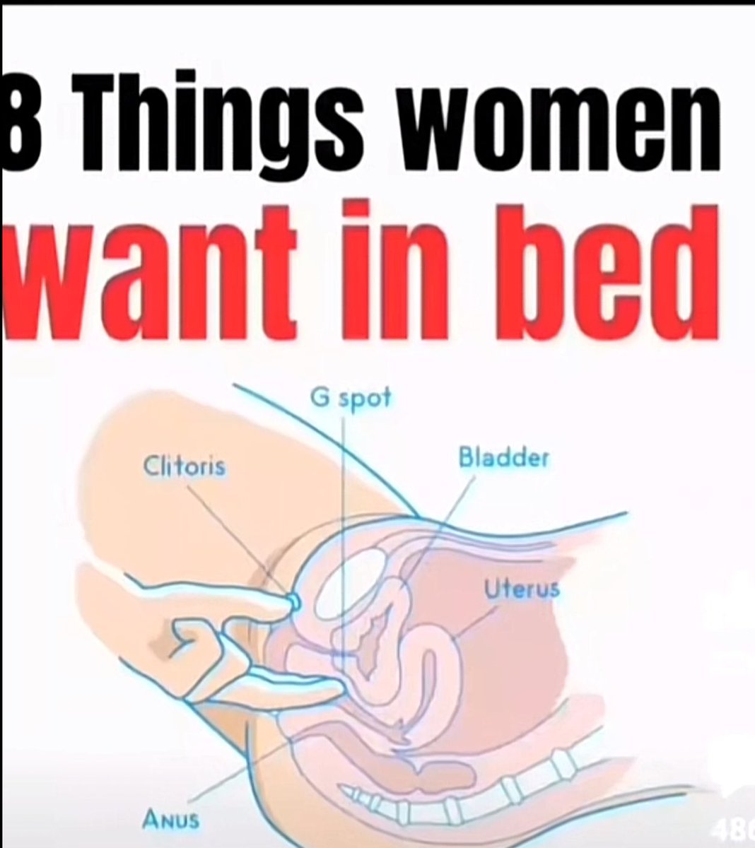 gviibez7's tweet photo. A compilation of what Ladies sexually crave for in bed

A Thread🧵 https://t.co/HqDqXsbNwr
