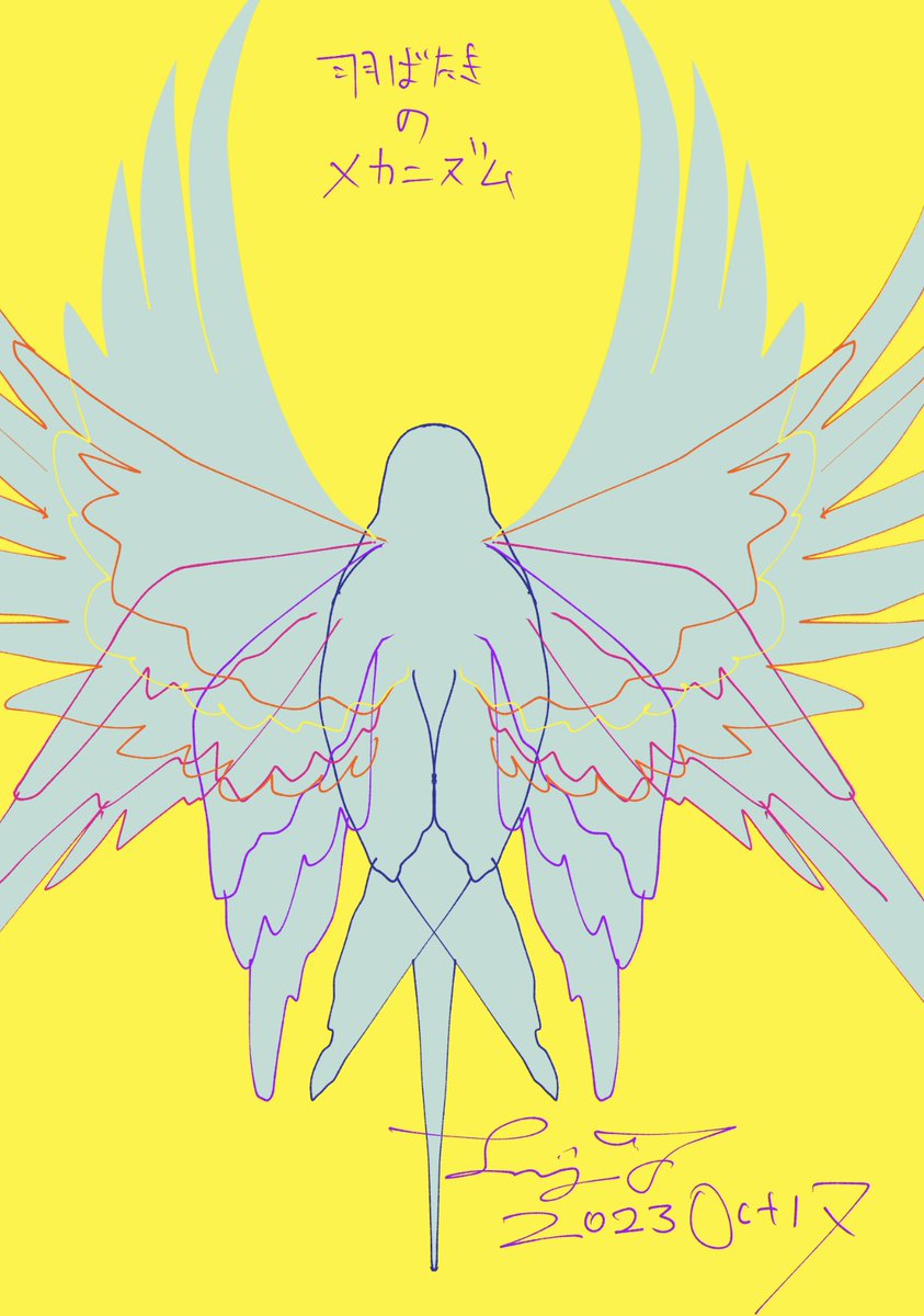 「#ことり解体新書 #インコ研究  セキセイ羽根図鑑を描いているので、ちょっと翼の」|Liz青いことり工房のイラスト