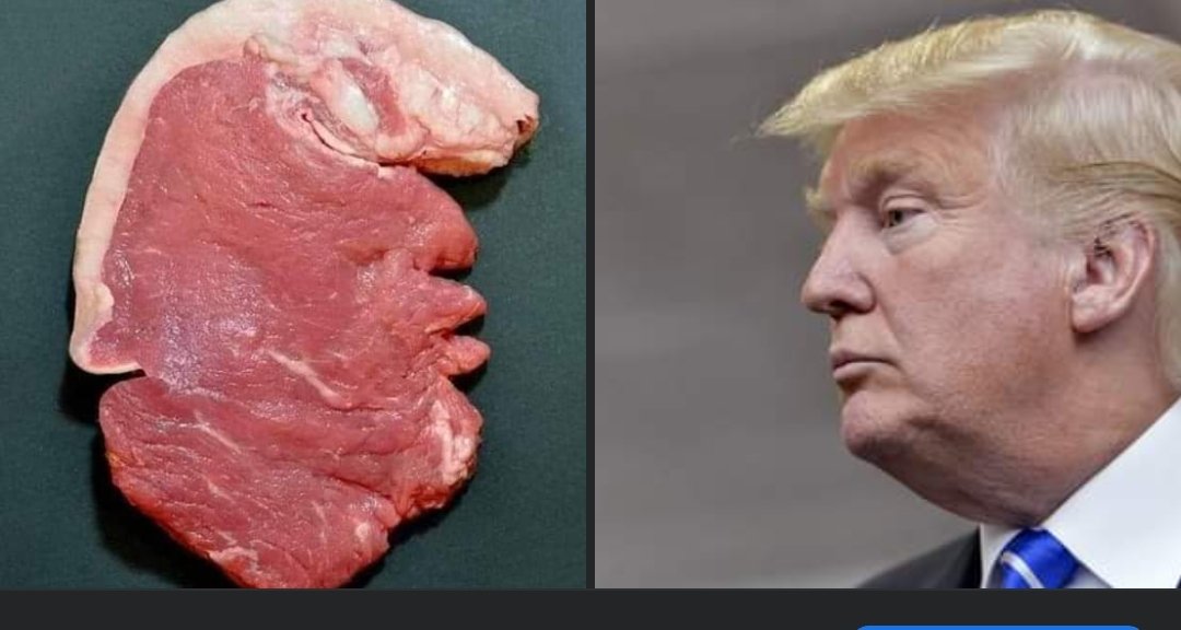 Donald Meat               Donald Trump 
#GazaAttack #Israel #SouthAfrica #Brussel #IsrealPalestineconflict