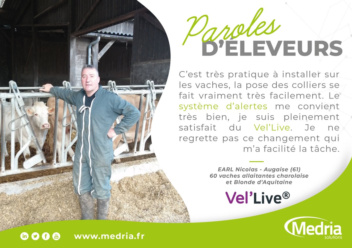 [PAROLES D'ELEVEURS] 🤠

💬 "Je ne regrette pas ce changement qui m'a facilité la tâche"

Profitez de l'Offre liberté ➡ swll.to/dRCFwTZ

#velage #troupeauallaitant #monitoring