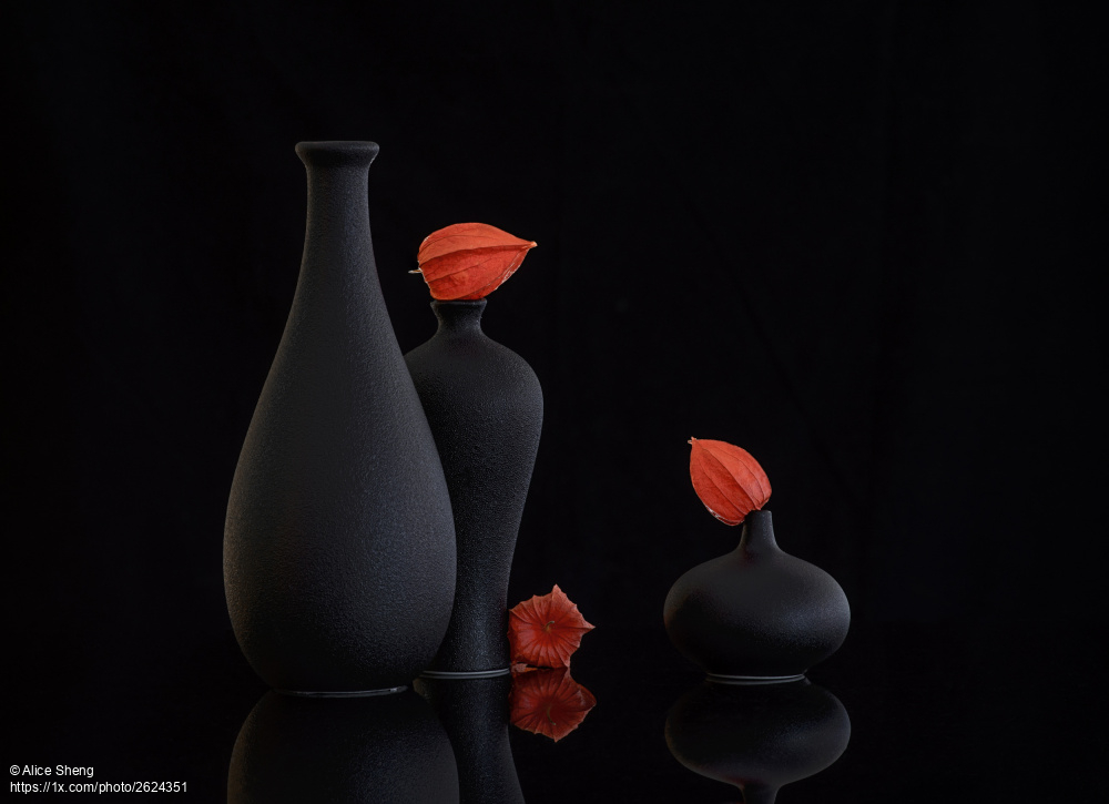 'Still life 104' by Alice Sheng
1x.com/photo/2624351/… #stillife #blackandred #vases #flowers