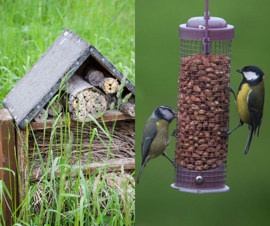 Devon Local Nature Partnership (@devonlnp) on Twitter photo Get your garden buzzing for wildlife and you can win a free plaque!
Devon Wildlife Trust are running a Wildlife Garden awards scheme for those gardens that have gone the extra mile for wildlife. To join the scheme, visit their website soc.devon.cc/t64Hr
<a href="/DevonWildlife/">Devon Wildlife Trust</a> Get your garden buzzing for wildlife and you can win a free plaque!
Devon Wildlife Trust are running a Wildlife Garden awards scheme for those gardens that have gone the extra mile for wildlife. To join the scheme, visit their website soc.devon.cc/t64Hr
<a href="/DevonWildlife/">Devon Wildlife Trust</a>