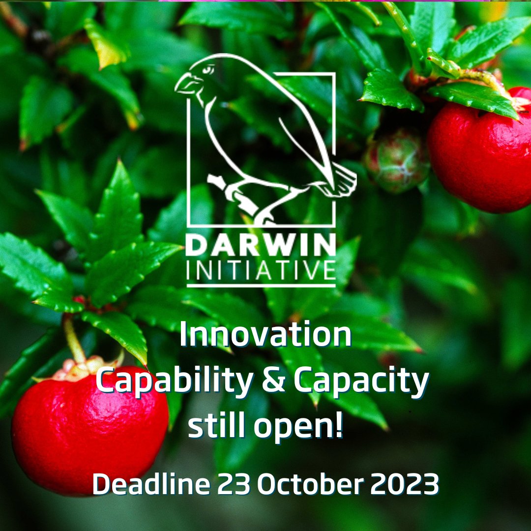 Summer’s over – but Darwin Initiative funding isn’t!🌞 Less than 1 week left to apply to #DarwinInitiative Rd30. The 2 schemes still open are: 💡Innovation: £10k - £200k grants 🌱Capability&Capacity: £50k – £200k grants Apply👉 loom.ly/FbkcIrc Deadline: 23 October 2023