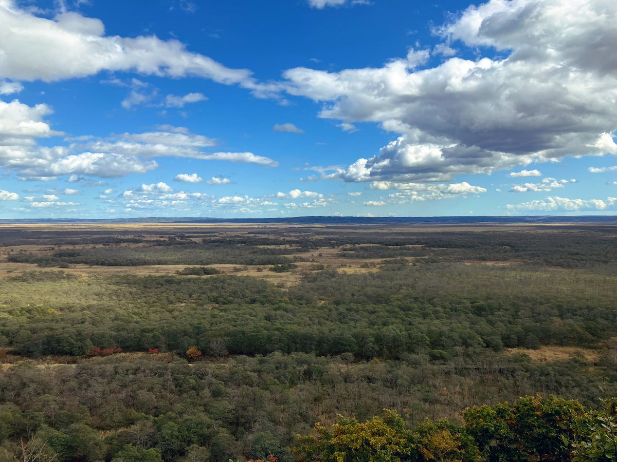 稚内を出発し、寄り道しながら北見へ
そのまま寝ないで交代して走り続けた
夜空は満点の星空
深夜の知床、納沙布岬の日の出、釧路湿原

こんな無茶苦茶な行程は二度とできないと思う